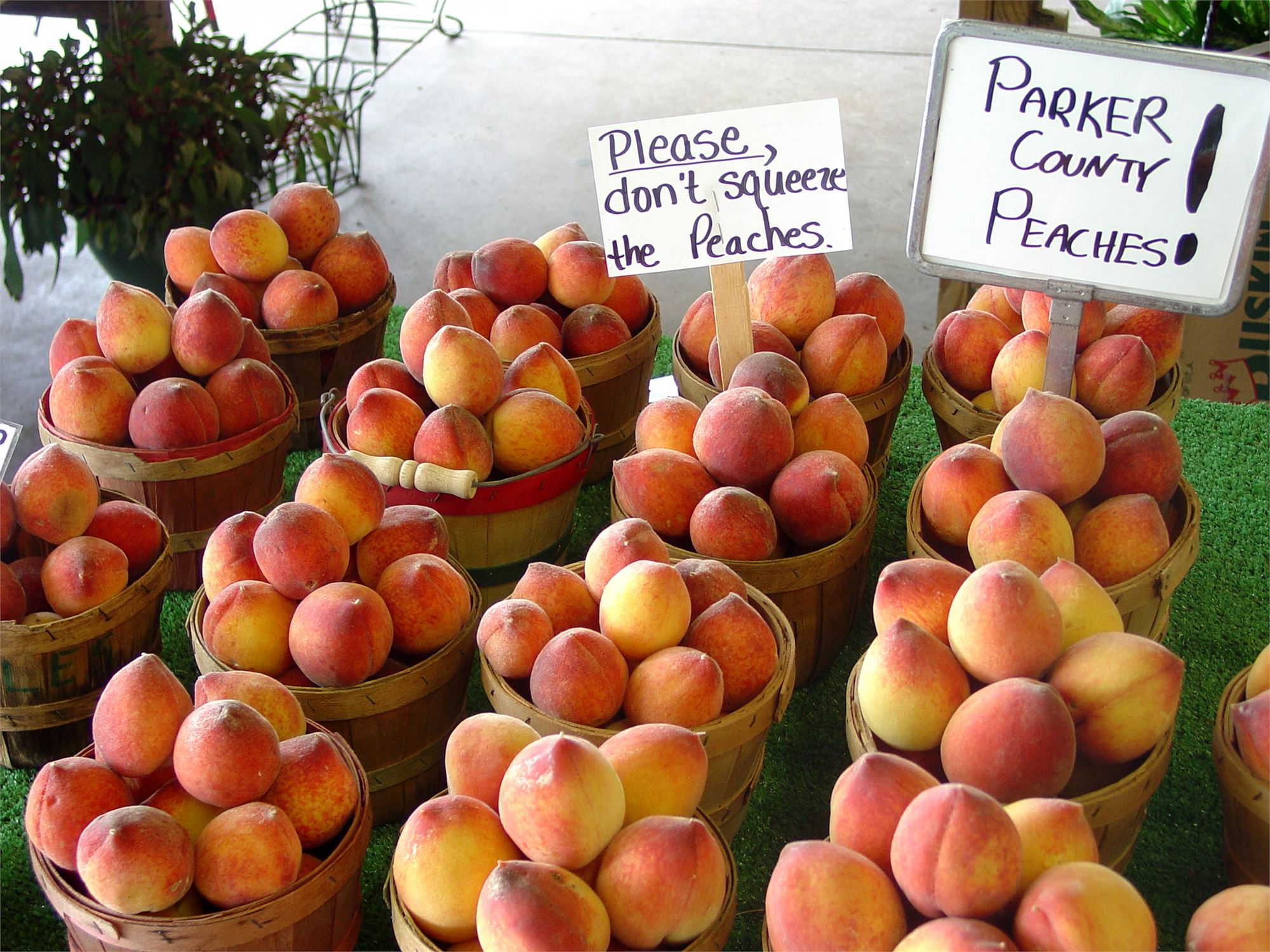 weatherford-peaches1.jpg